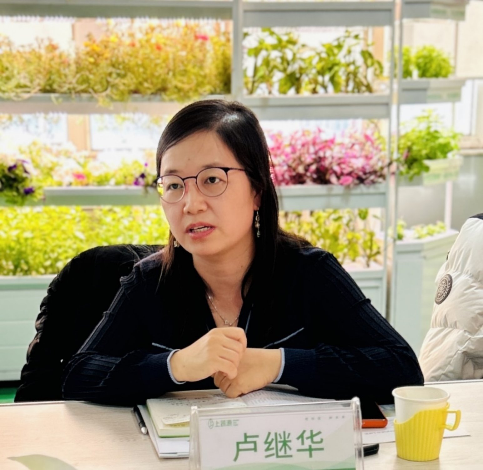 黄色仓库